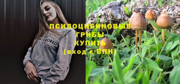 винт Россошь