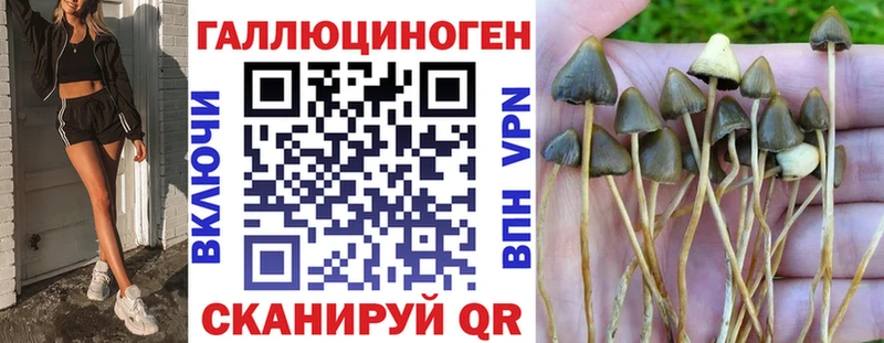 закладка Вязники Псилоцибиновые грибы мухоморы