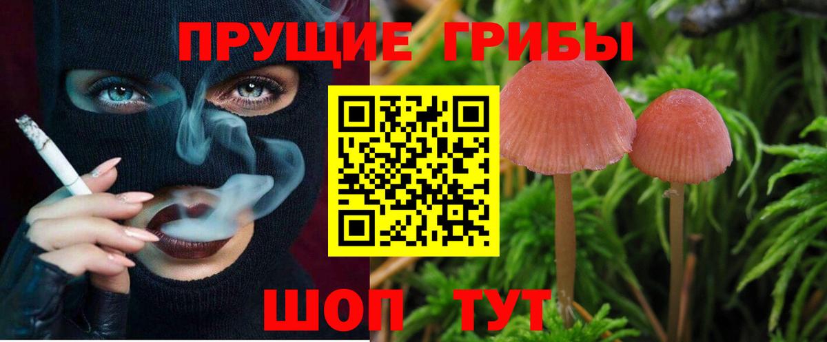 Вязники  Галлюциногенные грибы GOLDEN TEACHER  Вход с VPN 